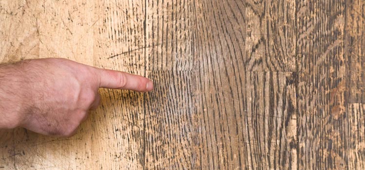 Wood Door Scratch Repair in Roseville